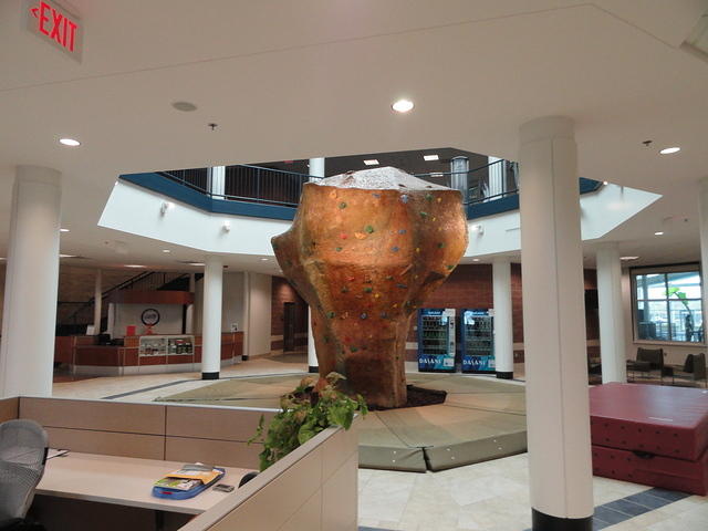 A shot of the awesome interior rock climbing boulder.